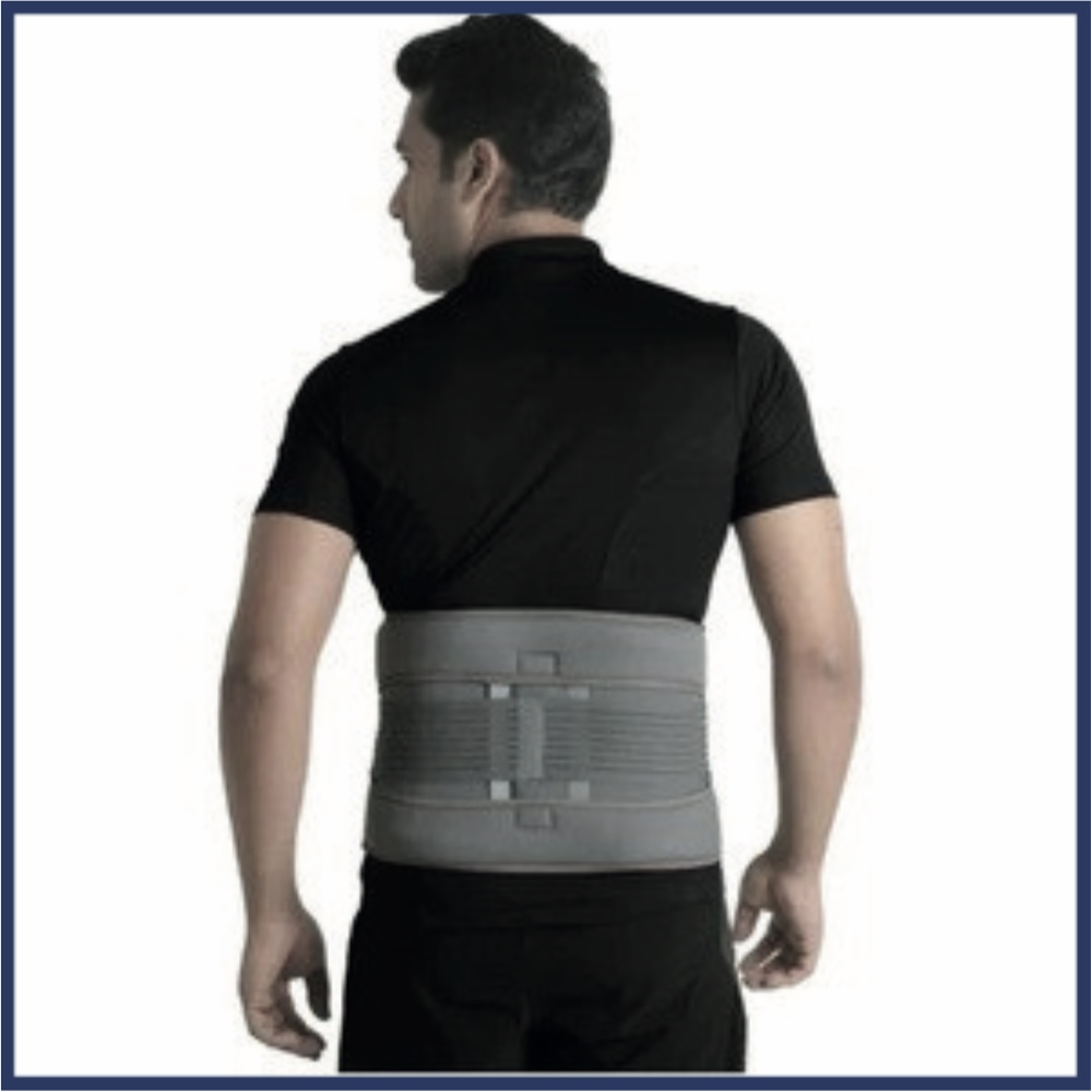 Eco Frame Back Support — Scanda Enterprises, Moosapet, Hyderabad